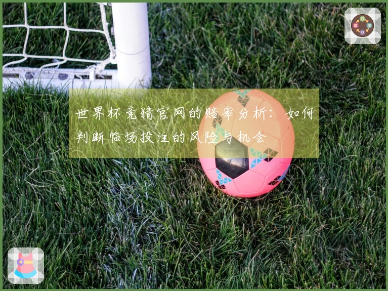 世界杯竞猜官网的赔率分析：如何判断临场投注的风险与机会